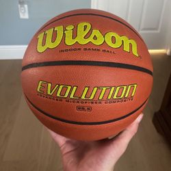 Wilson Evolution Ball Womens