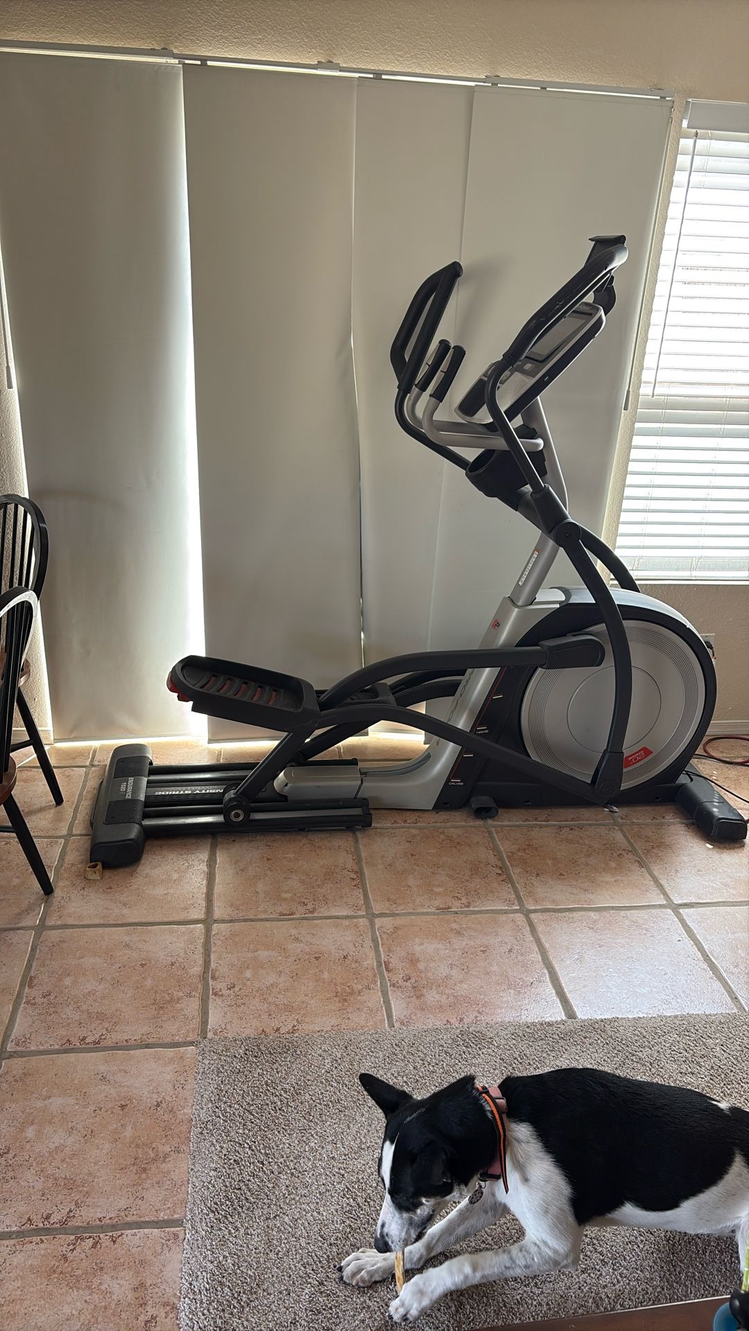 Proform Elliptical