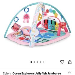 Baby Einstein Discovery Gym