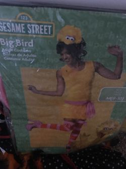 Costume like new