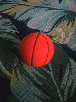 Mens size silent Basketball