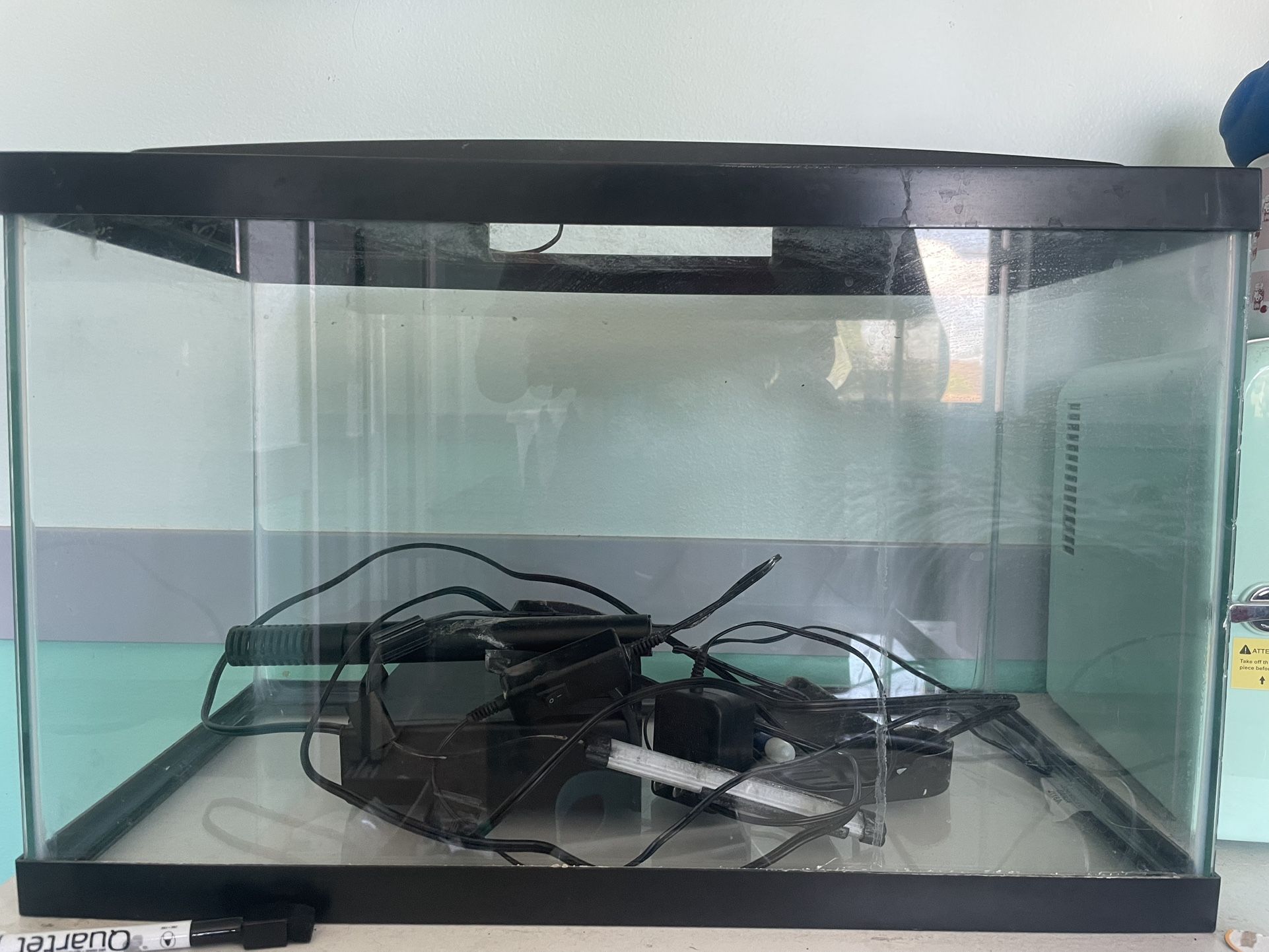 10 Gallon Fish Tank