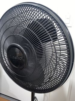 Fan