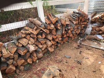 Cores of oak for the winter