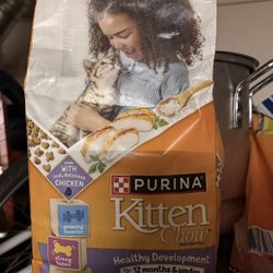Purina Kitten Food