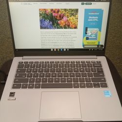 Asus LAPTOP