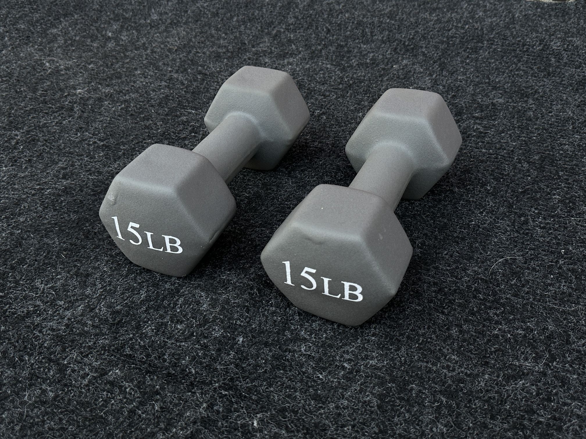 Ritfit Dumbbells 15 Lb