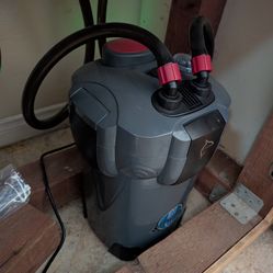 100 Gal Aquarium Setup