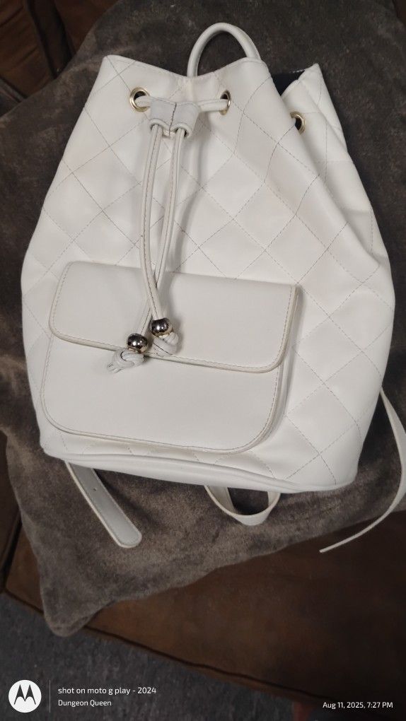 Small Backpack Or Purse