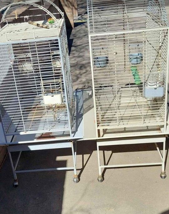 Bird Cage