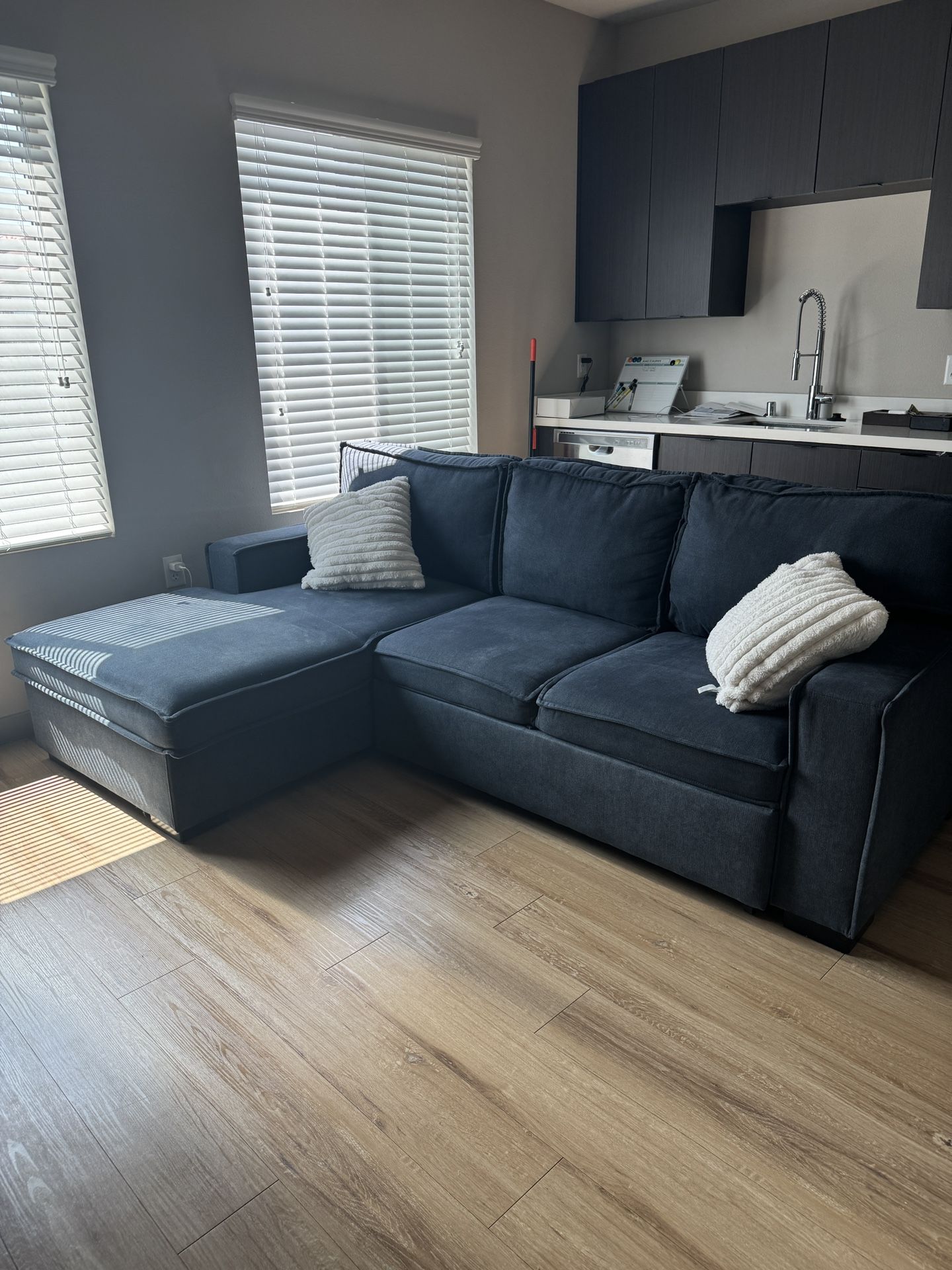 Blue Pull-Out Bed Sectional Sofa