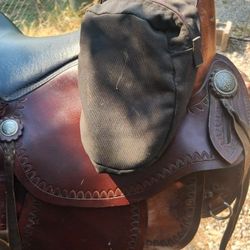 Horn Saddle Bags