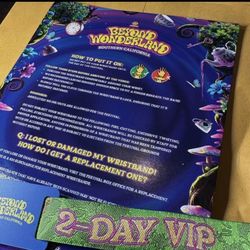 Beyond Wonderland 2-Day VIP 1 ticket 🎫