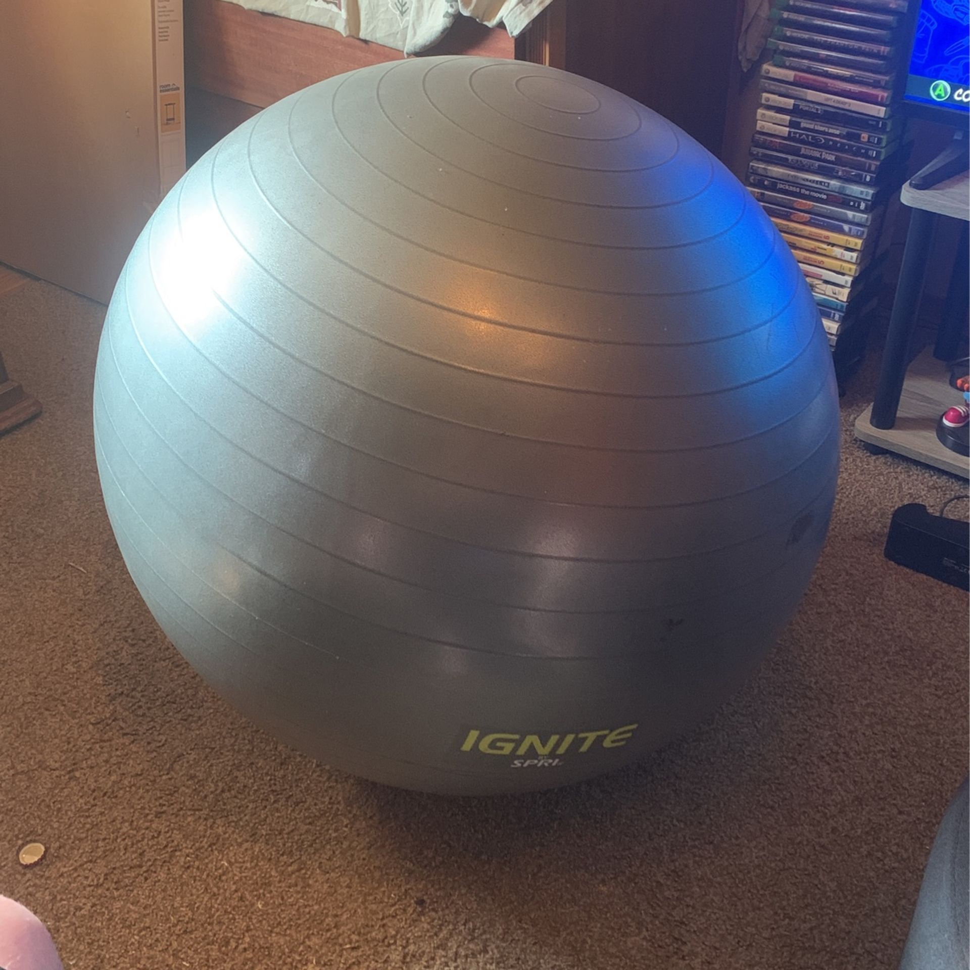 Giant Exercise Ball
