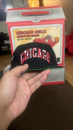 Bulls Artist Series Hat