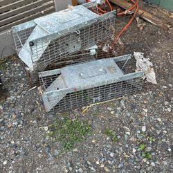 Live Traps