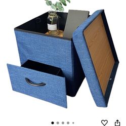 Lennon Storage, Footrest with Padded Seat  Leg Ottoman,