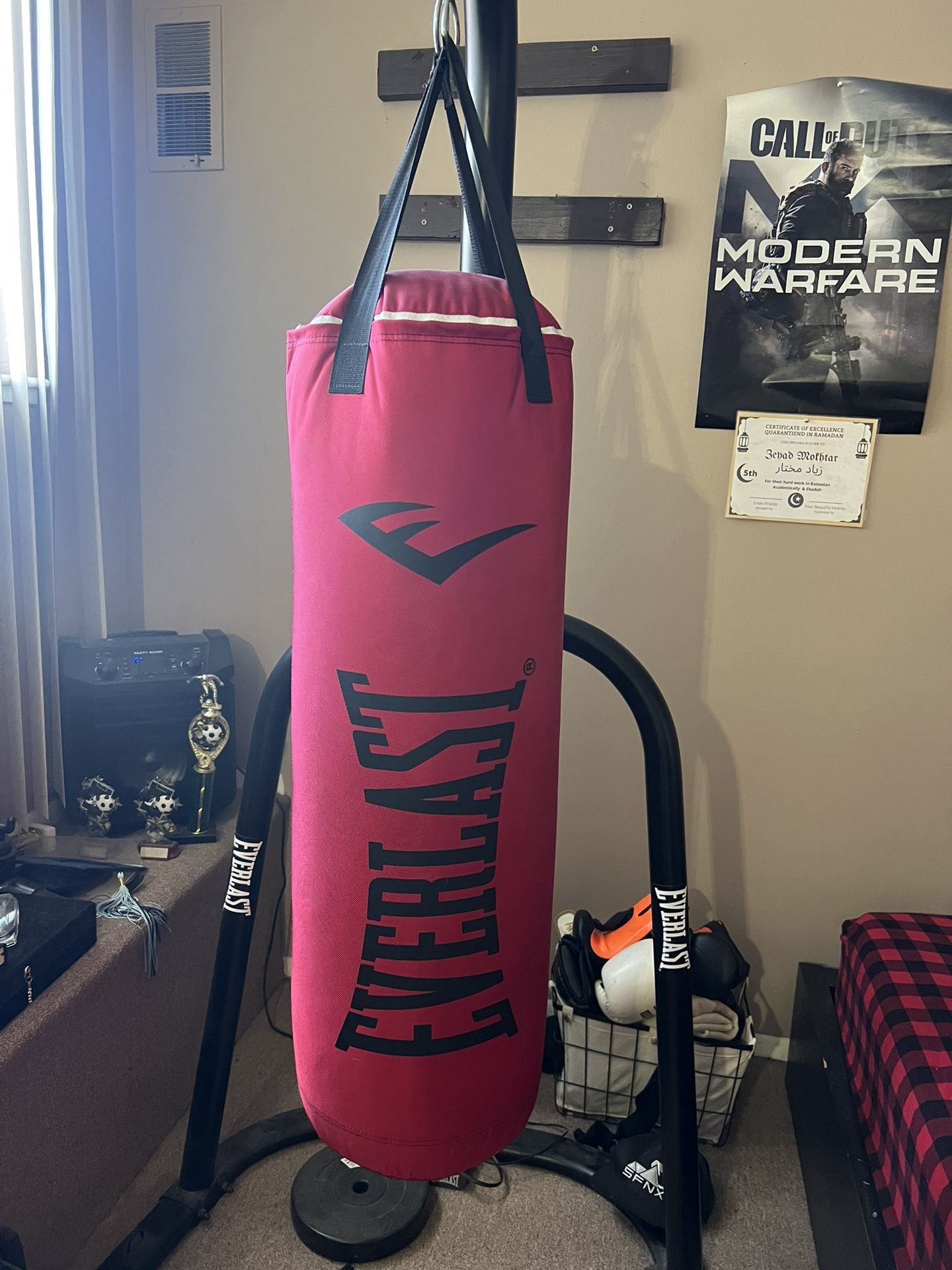 Everlast Boxing Bag