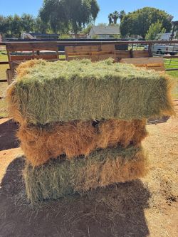 Bermuda grass hay