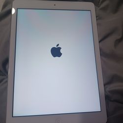 Apple Ipad