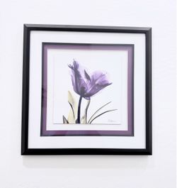 Wall Decor - Set of two