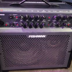 Acoustic Guitar Amp 