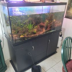 250 gal with stand, filter(2) light (3)