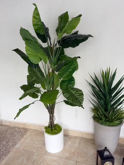 Fake decorative plant with white base included