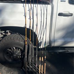Fishing Rods For Sale 