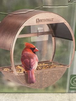 Bird Feeder