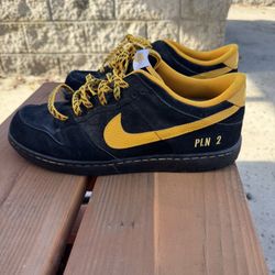 Custom Nike Dunks Lows Size 13