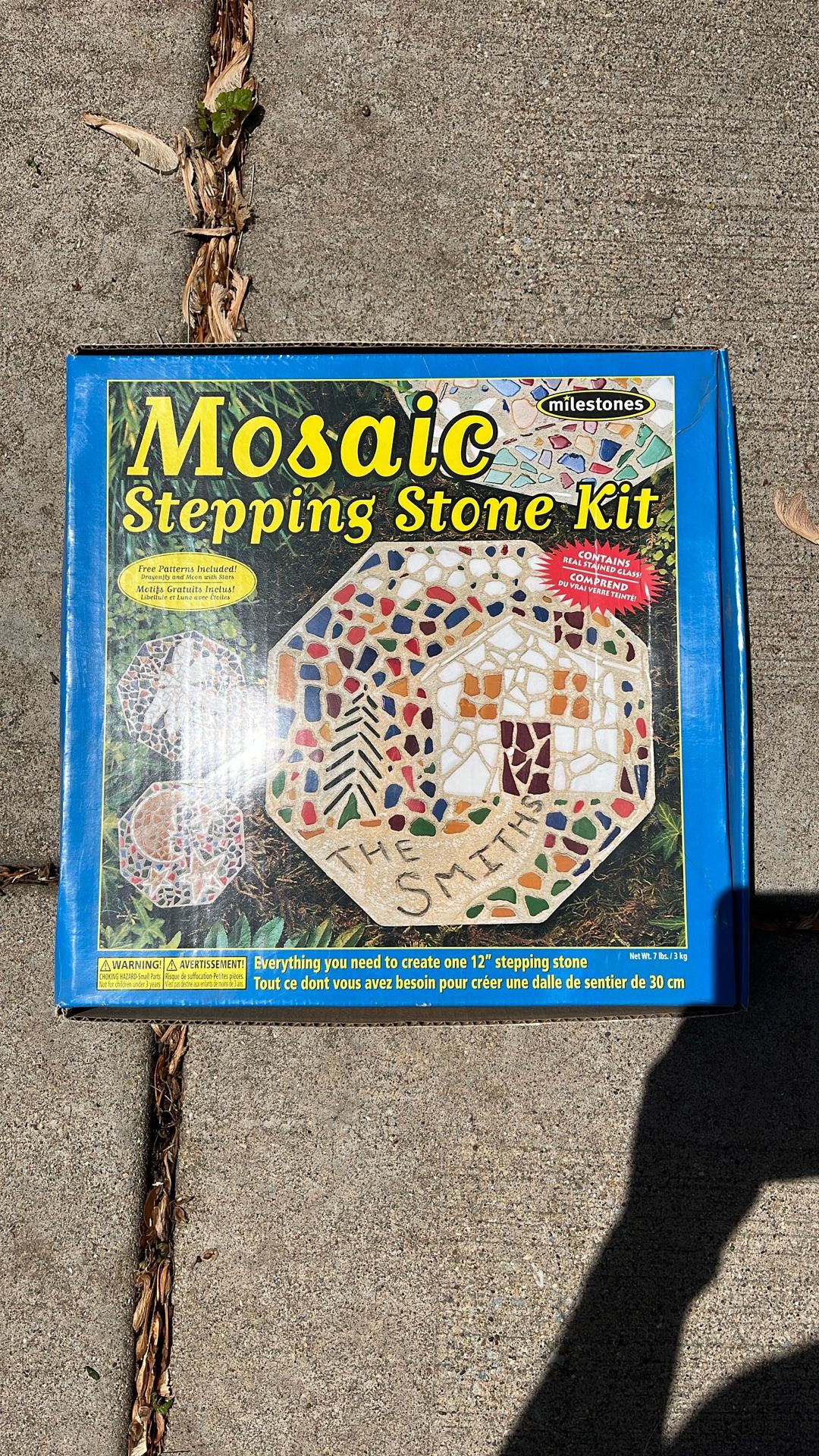 Mosaic Stepping Stone Kit