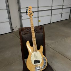Dillion 5string Bass 