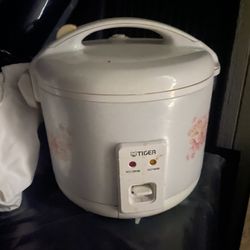 Rice Cooker & Warmer
