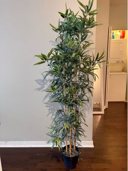 Fake plant
