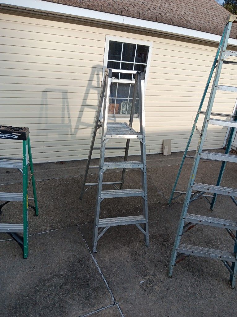 Werner 6ft Ladder