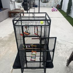 bird cage - jaula para pajaros