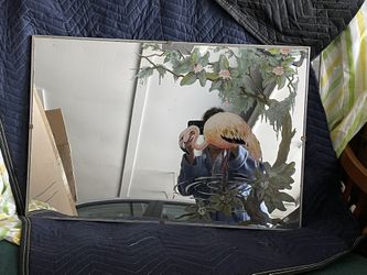 Flamingo Mirror