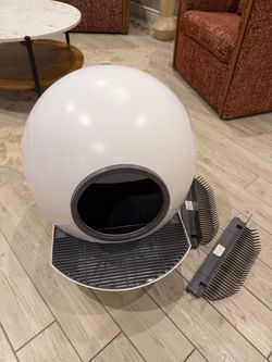 Automatic Self Cleaning Litter Box