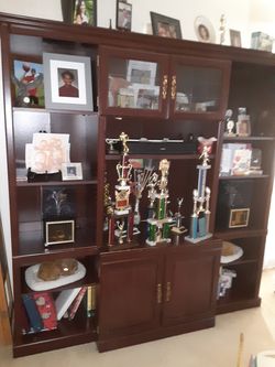 Large bookshelf/entertainment