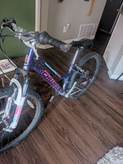 Women's schwinn bike