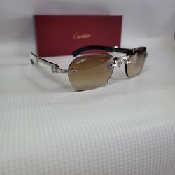 Premier De Cartier Sunglasses 👓 