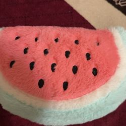 Watermelon Makeup Bag