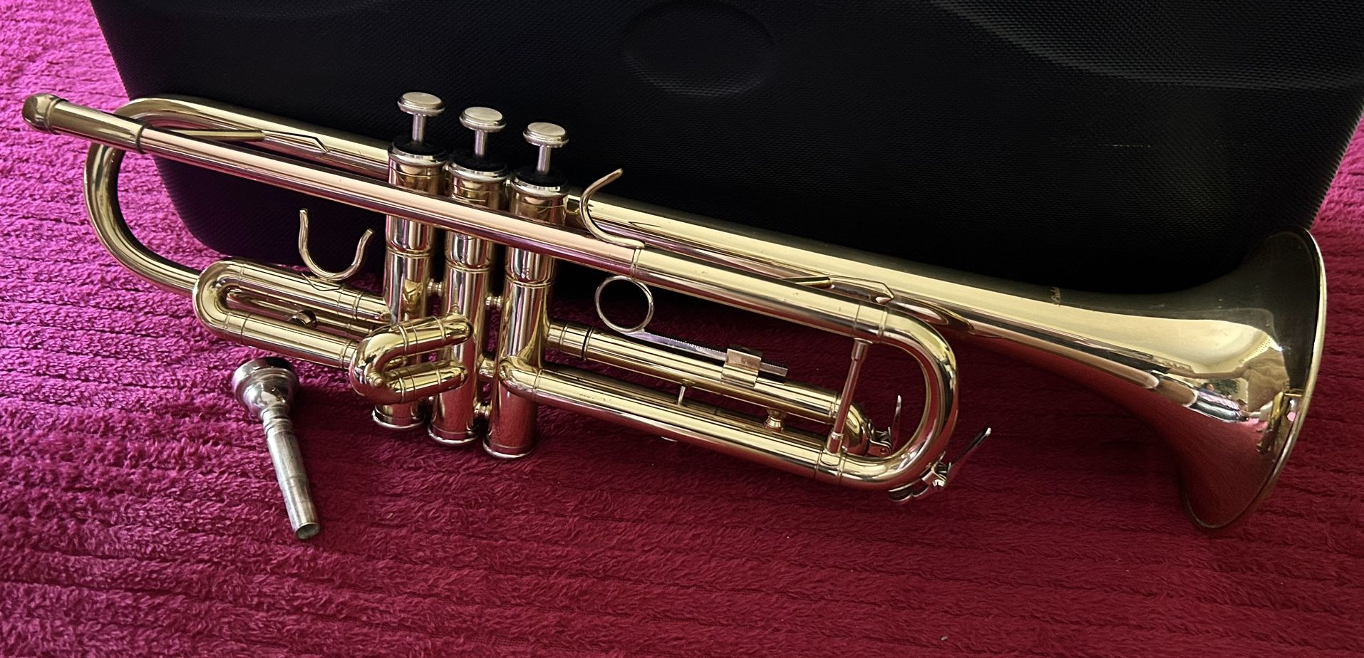 Trumpet with carry case in excellent condition. $100