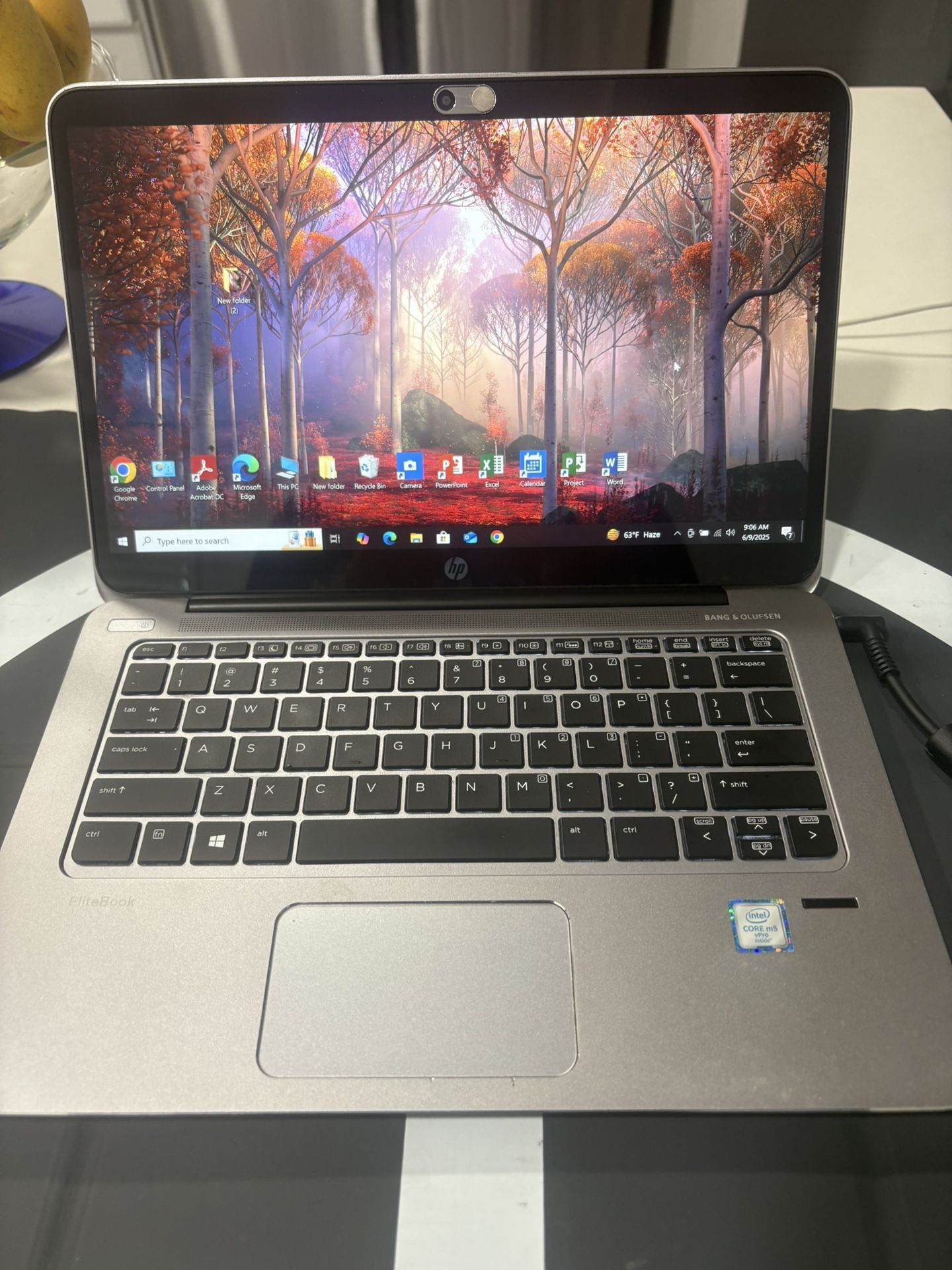 HP ÉLITEBOOK model # 1030 G1 … comes with BANG & OLUFSEN SOUND VERY CLEAR 128 GB SOLID STATE M2 sata …( capacity ) 8.0 GB MEMORY WINDOWS 10 profe