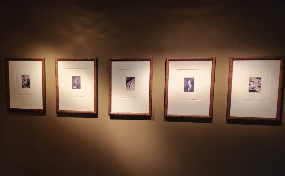 Framed Flower Photos