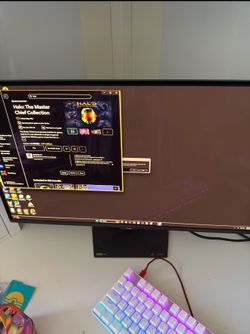 ASUS 500 HZ 1440p QD-OLED Monitor