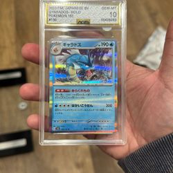 2023 Gyarados Holo Pokemon