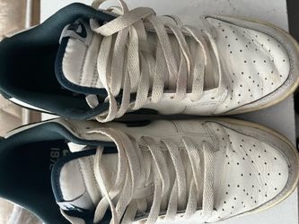 Nike SB