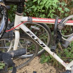 Fuji Bikes